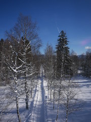 path through winter landscape