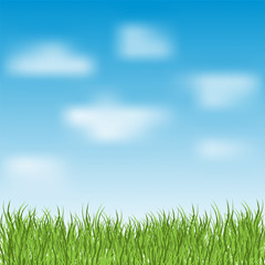 Plakat Blue sky and green grass, nature background