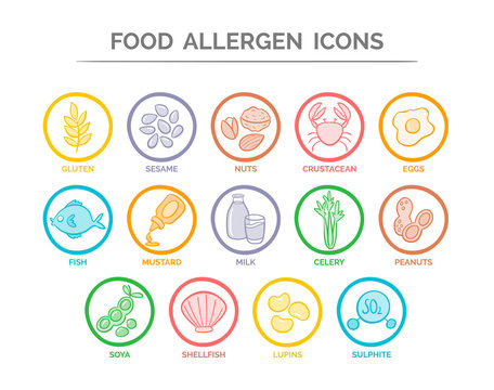 Food safety allergy icons set. 14 food ingredients that must be declared as allergens in the EU. EPS 10 vector. Useful for restaurants and meals.