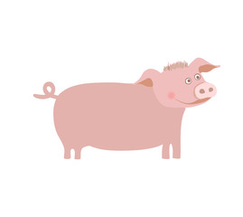 Farm pet pig hand drawn vector illustration isolated on white background. Cute farm animal, domestic livestock in cartoon style.