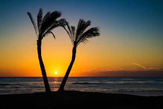 Sonne unter Palmen