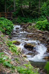mountain river