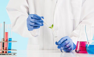 Plant sciences in lab