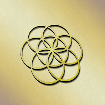 Blume des Lebens - P