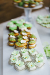 Small green cakes on skewers at a wedding candy bar vertical shot