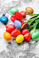 Colorful Easter eggs and tulips