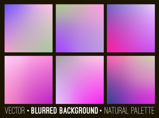 Color abstract blurred background set. Pink lilac violet palette. Smooth design elements collection flower concept.