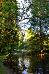 Giardini - Castello sforzesco