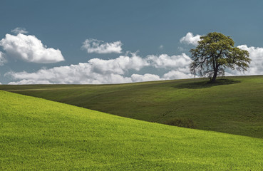 Campagna primaverile