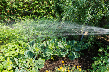 Gartenbewässerung