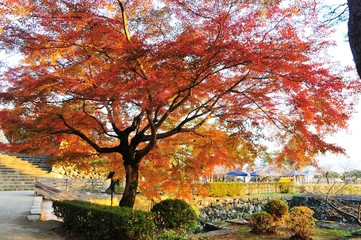 高知城