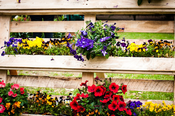 spring colored flowers and plants on a wooden support