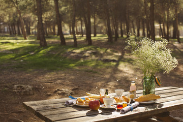 Picnic lunch