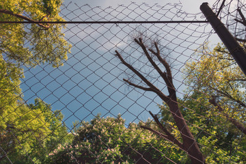Sky and trees through mesh wire fence. Concept of imprisonment, deprivation, depression and lack of...