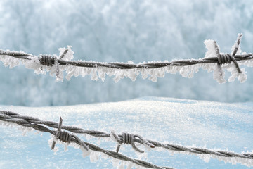 Barbed wire on the winter background with snowdrifts