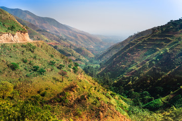 Naklejka premium Krajobraz w dolinie Semuliki - Uganda
