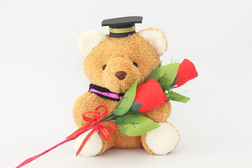 Brown bear wearing a graduation cap and red roses on a white background.