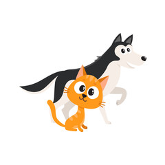 Husky dog dog and red cat, kitten characters, pets, friendship concept, cartoon vector illustration isolated on white background. Husky dog dog and red cat characters, friends