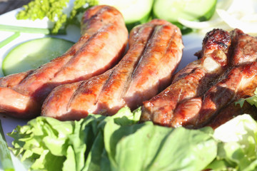 A plate of grilled meat and vegetables lies on the grass. Image with depth of field.