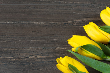 Yellow tulips on grey wooden board. Background, pattern, texture.