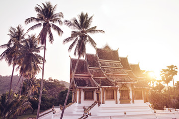 Buddhistischer Tempel Mit Palmen