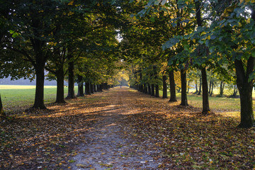 Fototapeta premium Monza (Italy): the park at fall