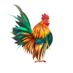 Bright realistic cock drawn on a white background
