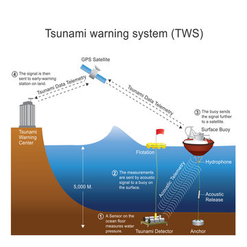 Tsunami warning system. Natural disasters graphic vector.