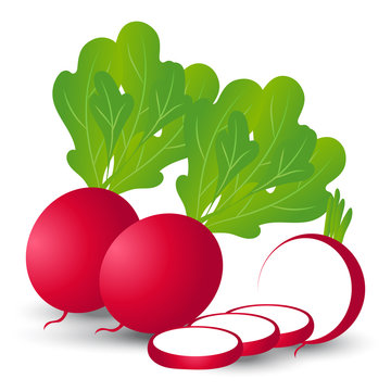 red radishes with green leaves clip art preview
