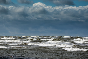 Fototapeta premium Stormy Baltic sea.