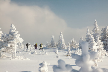 Fototapeta na wymiar Snowy winter in a national park Taganay, South Urals.