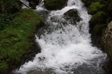 Fototapeta premium 川のせせらぎ