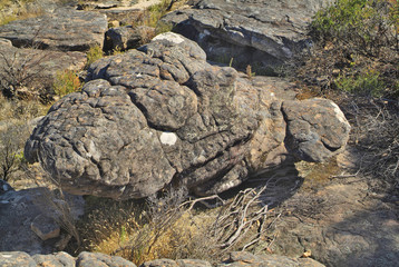 Australia, VIC, Grampians, 4758 - 13