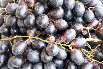 Brushes of ripe black grapes, close-up food background