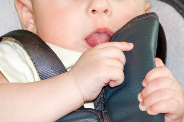kid playing with the seat belt on the car seat car. the baby's tongue licks the seat belt