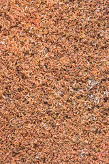 Close up colorful pencil shavings for background.