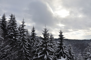 Карпаты