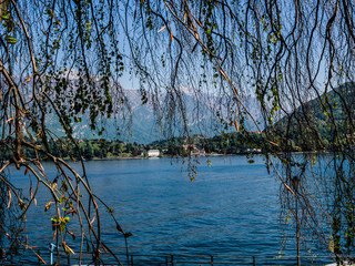 Admiring a beautiful view of the lake and the surrounding mountains.
