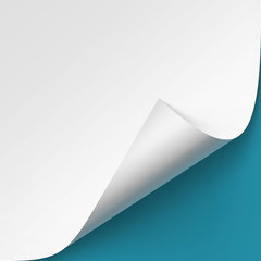 Vector Curled corner of White paper with shadow Mock up Close up Isolated on Blue Background