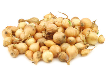 fresh brown seed onions on a white background