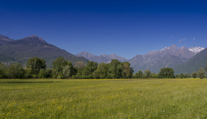 Fototapeta premium Spring landscape of the Lombard countryside - Italy