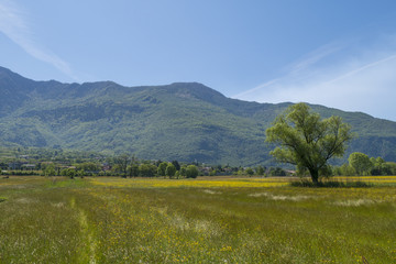 Spring landscape of the Lombard countryside - Italy