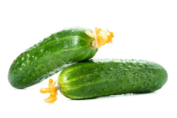 Two green cucumbers isolated