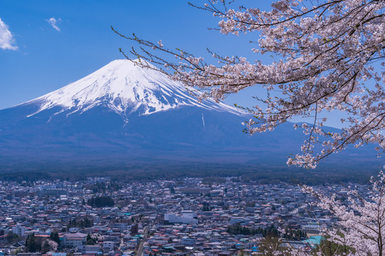 日本の春 新倉山浅間公園から望む世界文化遺産富士山