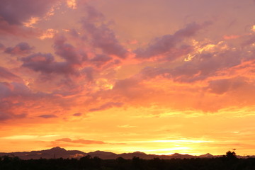 Yellow gold sky evening In tropical countries summer