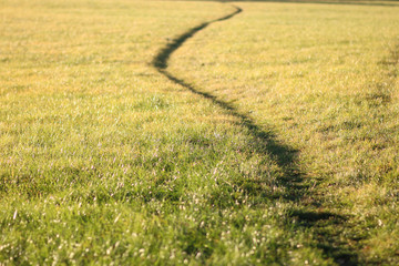 Footpath in the field