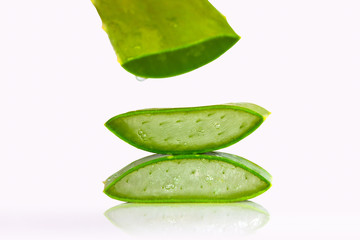 Aloe sliced, isolated on a white background