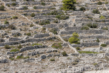 stone wall in mediteran