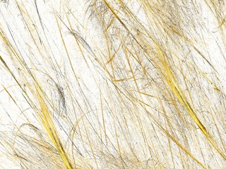 Abstract grunge dirty orange background on white backdrop