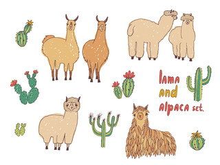 Cute Lama, Alpaca and cactuses set. Hand drawn colorful vector illustration.